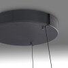 E-Loop Suspension Luminaires Paul Neuhaus LED Noir, 2 lumières, Télécommandes