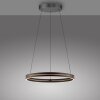 E-Loop Suspension Luminaires Paul Neuhaus LED Noir, 2 lumières, Télécommandes