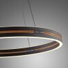 E-Loop Suspension Luminaires Paul Neuhaus LED Noir, 2 lumières, Télécommandes