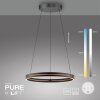 E-Loop Suspension Luminaires Paul Neuhaus LED Noir, 2 lumières, Télécommandes