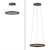 E-Loop Suspension Luminaires Paul Neuhaus LED Noir, 2 lumières, Télécommandes