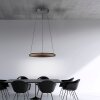 E-Loop Suspension Luminaires Paul Neuhaus LED Noir, 2 lumières, Télécommandes