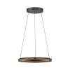 E-Loop Suspension Luminaires Paul Neuhaus LED Noir, 2 lumières, Télécommandes