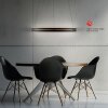 E-Loop Suspension Luminaires Paul Neuhaus LED Noir, 2 lumières, Télécommandes