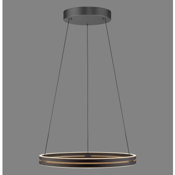 E-Loop Suspension Luminaires Paul Neuhaus LED Noir, 2 lumières, Télécommandes