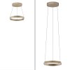 E-Clipse Suspension Luminaires Paul Neuhaus LED Bronze, 2 lumières, Télécommandes