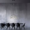 Rings Suspension Luminaires Paul Neuhaus LED Gris, 1 lumière, Télécommandes