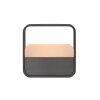 Go Lampe à poser Luminaires Paul Neuhaus LED Gris, 1 lumière