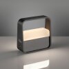 Go Lampe à poser Luminaires Paul Neuhaus LED Gris, 1 lumière