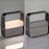 Go Lampe à poser Luminaires Paul Neuhaus LED Gris, 1 lumière