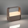 Go Lampe à poser Luminaires Paul Neuhaus LED Bronze, 1 lumière