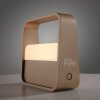 Go Lampe à poser Luminaires Paul Neuhaus LED Bronze, 1 lumière