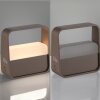 Go Lampe à poser Luminaires Paul Neuhaus LED Bronze, 1 lumière