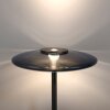 Vitrum Lampadaire Luminaires Paul Neuhaus LED Gris, 2 lumières