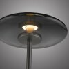 Vitrum Lampadaire Luminaires Paul Neuhaus LED Gris, 2 lumières