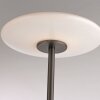 Vitrum Lampadaire Luminaires Paul Neuhaus LED Brun, 2 lumières