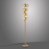 Popup Lampadaire Luminaires Paul Neuhaus LED Bronze, 12 lumières