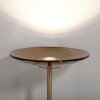 Moon Lampadaire Luminaires Paul Neuhaus LED Bronze, 2 lumières