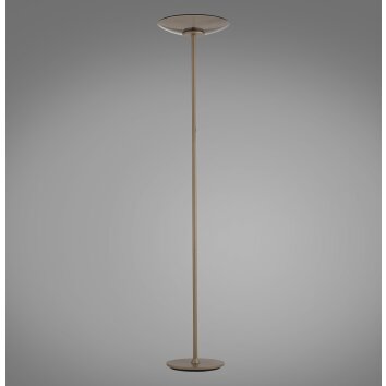 Moon Lampadaire Luminaires Paul Neuhaus LED Bronze, 2 lumières