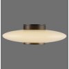 Vitrum Applique murale / Plafonnier Luminaires Paul Neuhaus LED Brun, 1 lumière