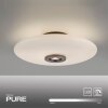 Vitrum Plafonnier Luminaires Paul Neuhaus LED Brun, 2 lumières