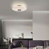 Vitrum Plafonnier Luminaires Paul Neuhaus LED Brun, 2 lumières