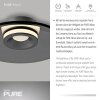 Moon Plafonnier Luminaires Paul Neuhaus LED Gris, 2 lumières