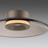 Moon Plafonnier Luminaires Paul Neuhaus LED Bronze, 2 lumières