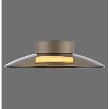 Moon Plafonnier Luminaires Paul Neuhaus LED Bronze, 2 lumières