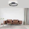 Loop Plafonnier Luminaires Paul Neuhaus LED Gris, 2 lumières, Télécommandes