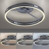 Loop Plafonnier Luminaires Paul Neuhaus LED Gris, 2 lumières, Télécommandes