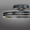Loop Plafonnier Luminaires Paul Neuhaus LED Gris, 2 lumières, Télécommandes