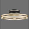 Loop Plafonnier Luminaires Paul Neuhaus LED Or, Noir, 2 lumières, Télécommandes