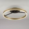Loop Plafonnier Luminaires Paul Neuhaus LED Or, Noir, 2 lumières, Télécommandes