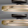 Loop Plafonnier Luminaires Paul Neuhaus LED Or, Noir, 2 lumières, Télécommandes