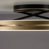 Loop Plafonnier Luminaires Paul Neuhaus LED Or, Noir, 2 lumières, Télécommandes
