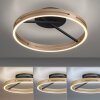 Loop Plafonnier Luminaires Paul Neuhaus LED Or, Noir, 2 lumières, Télécommandes