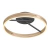 Loop Plafonnier Luminaires Paul Neuhaus LED Or, Noir, 2 lumières, Télécommandes