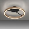 Loop Plafonnier Luminaires Paul Neuhaus LED Or, Noir, 2 lumières, Télécommandes