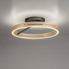 Loop Plafonnier Luminaires Paul Neuhaus LED Or, Noir, 2 lumières, Télécommandes