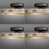 Loop Plafonnier Luminaires Paul Neuhaus LED Or, Noir, 2 lumières, Télécommandes