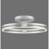 Loop Plafonnier Luminaires Paul Neuhaus LED Argenté, 2 lumières, Télécommandes