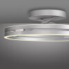 Loop Plafonnier Luminaires Paul Neuhaus LED Argenté, 2 lumières, Télécommandes