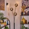 Ripoll Boule lumineuse, Lampadaire Fumé, 3 lumières
