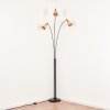 Lindberg Lampadaire Noir, 3 lumières