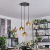 Ripoll Suspension, Boule lumineuse, Suspension grappe Or, Clair, 3 lumières