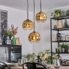 Ripoll Suspension, Boule lumineuse, Suspension grappe Or, Clair, 3 lumières