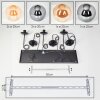 Gastor Suspension, Boule lumineuse, Suspension Ambre, Fumé, 6 lumières