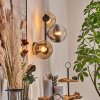 Gastor Boule lumineuse, Applique murale Ambre, Clair, Fumé, 3 lumières