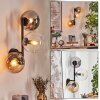 Gastor Boule lumineuse, Applique murale Ambre, Clair, Fumé, 3 lumières